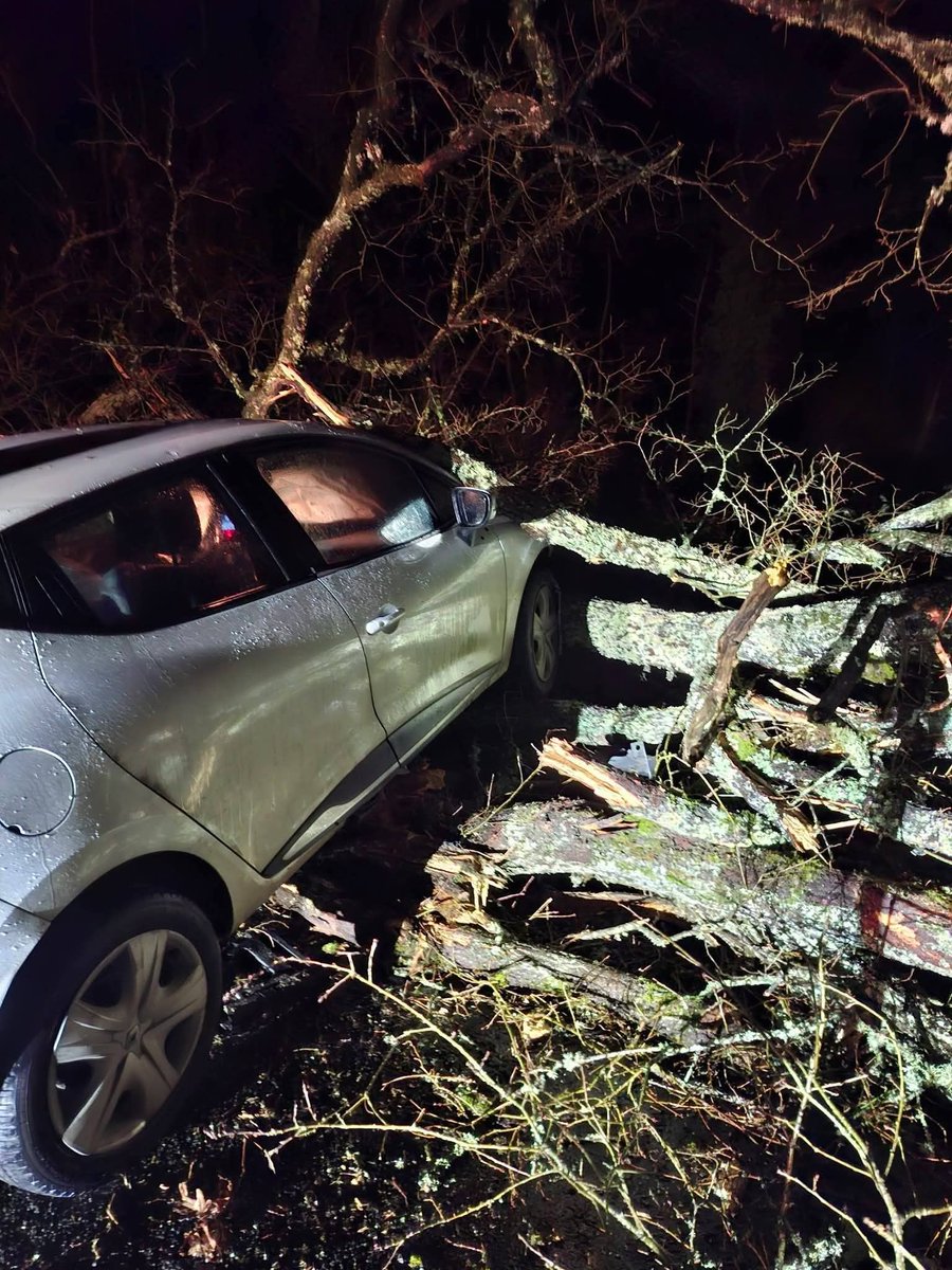 Guillaume Woznica tweet media