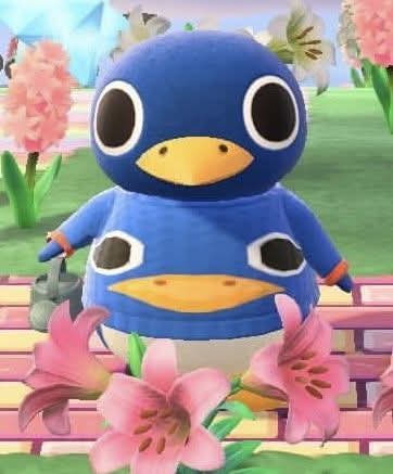 Harry ⚡+NOROI+⚡ tweet media