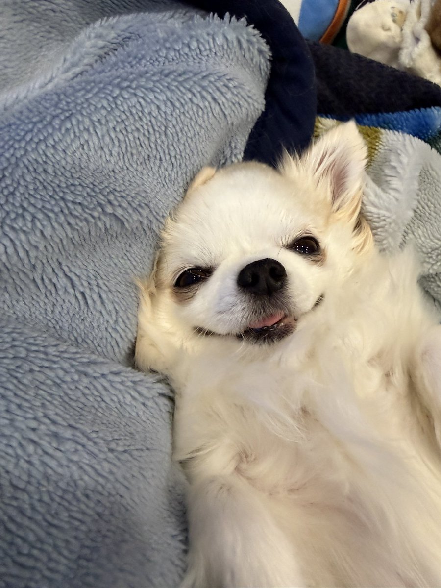 え⁉️⁉️⁉️⁉️
ベロでてる‼️‼️‼️
ベロが出てますよ‼️‼️‼️
早く気付いて‼️‼️‼️‼️‼️