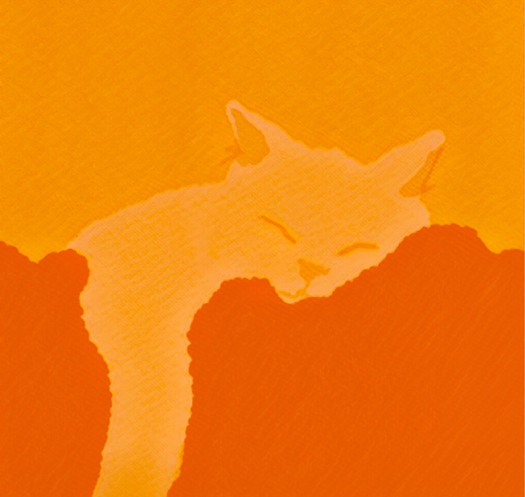 ガラッと変わる1秒で変わる。前々夜。
2月13日はLOG。ALC、does、boogie。