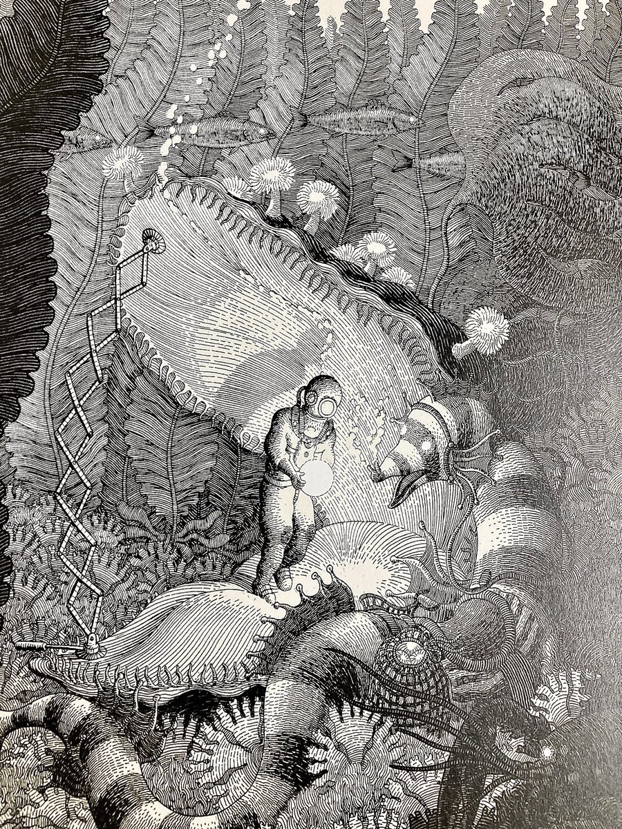 驚くべき本、見つけたから自慢させて。
この本、全ページこんな絵ばっかりで緻密すぎて1ページ3時間くらい眺めていられるの......。