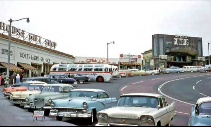 Connie 🇺🇸 tweet media