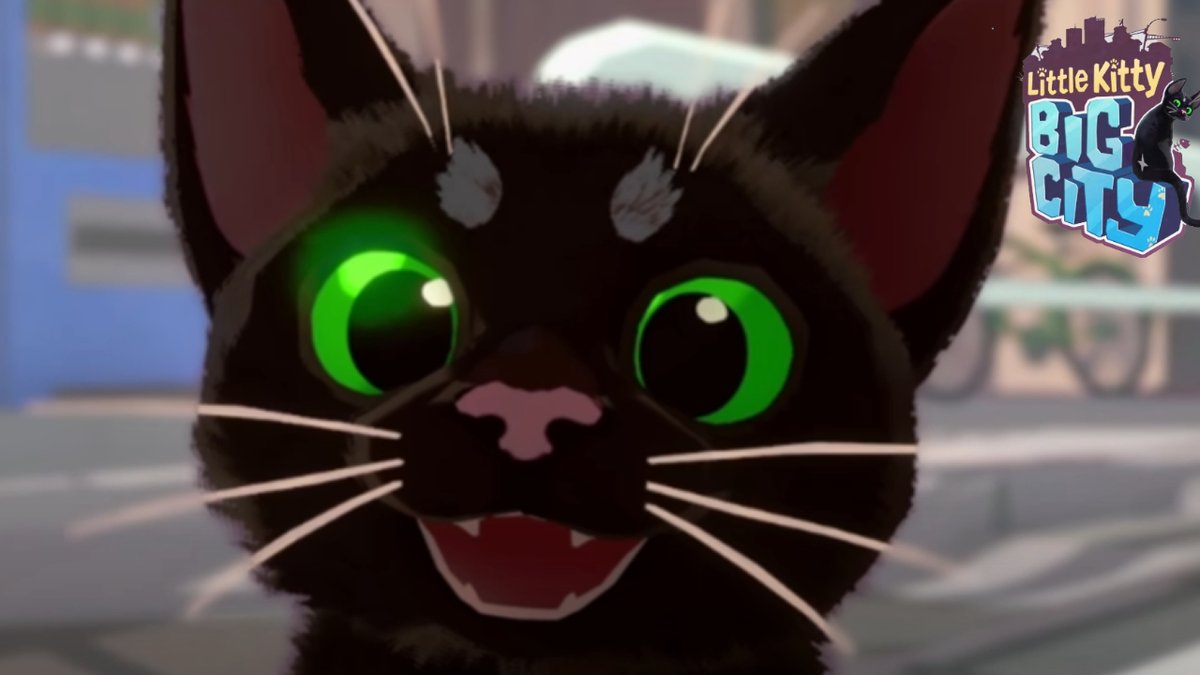 にゃあ！(こんにちは！)にゃにゃにゃにゃ(今日は久々に単発で)にゃにゃ