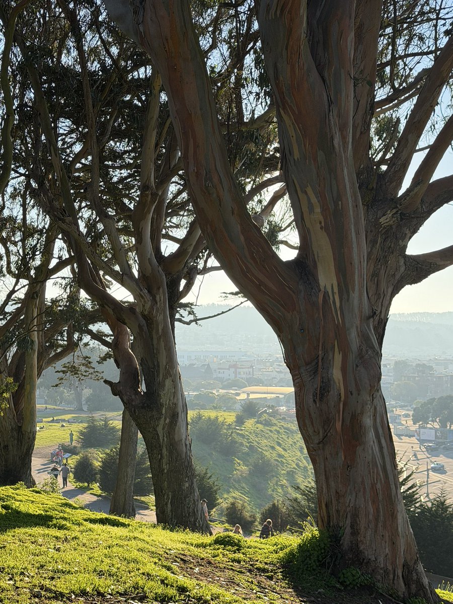 Brooke LeBlanc tweet media