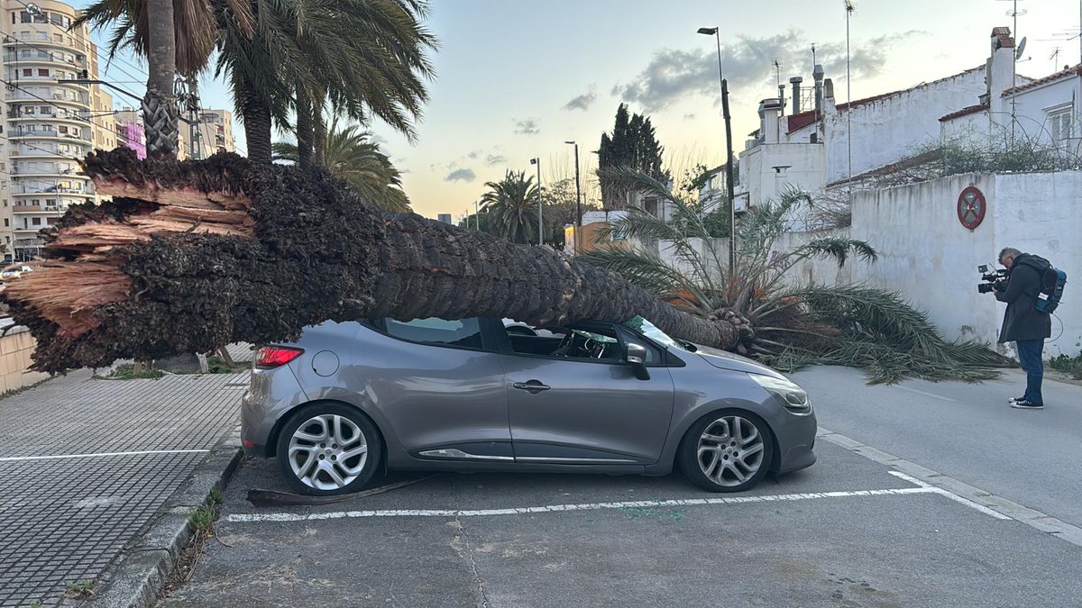 Francesc Mauri tweet media