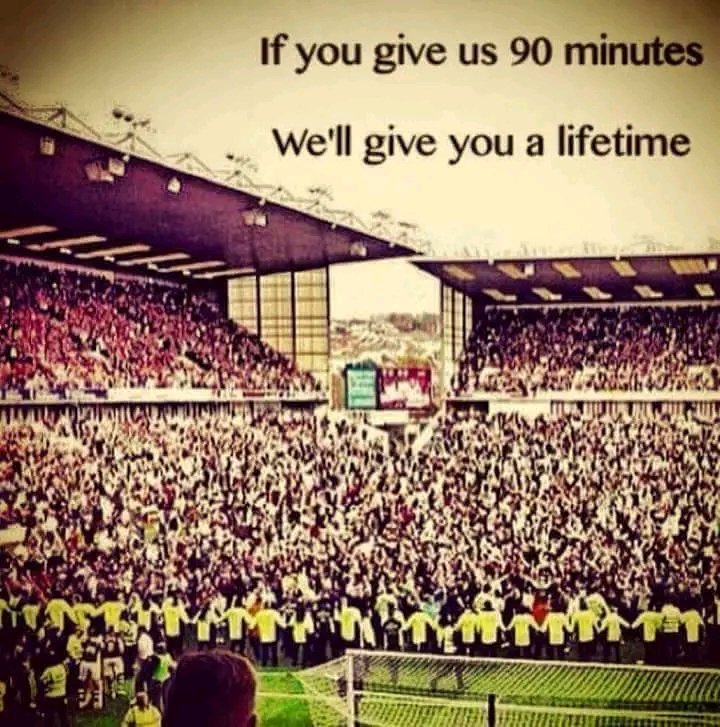 Darren Irvine (P) 🍊 🥧 tweet media