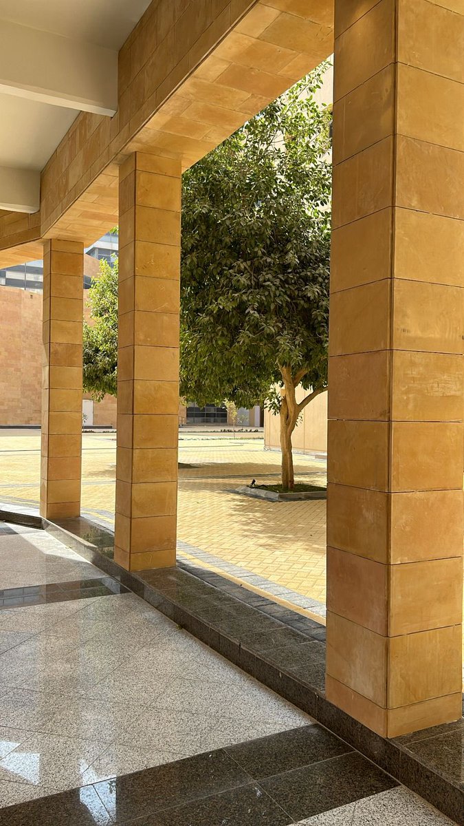 Layan 🦋 tweet media