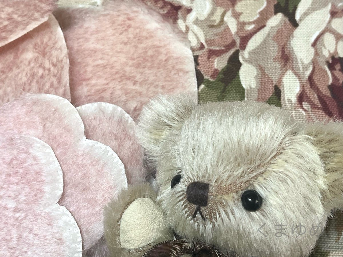 RT @kumayume1: 白いモヘアの毛先がピンクに染められているかわいい春