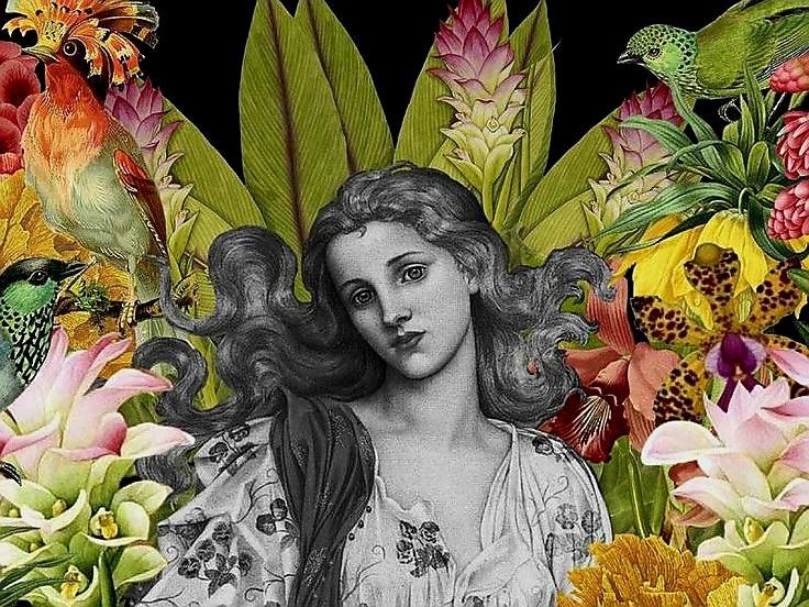 stellar ★ 📚: Cleopatra and Frankstein tweet media