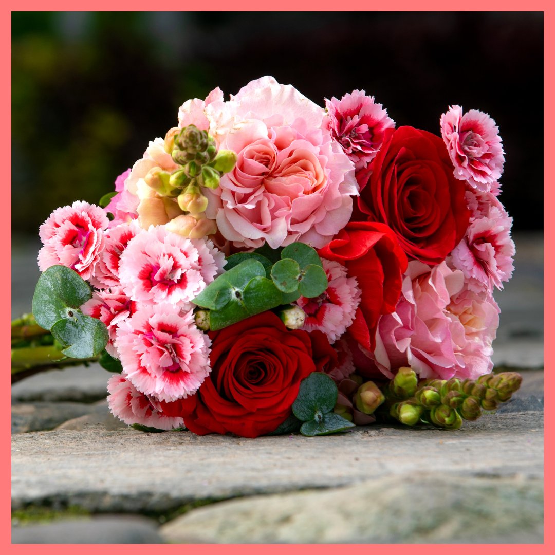 I just received Vday Szn Flower Bouquet - Classic (13-15 mixed stems) / Yes (+$12) / Standard Shipping by ReVased from ddodd95 via Throne. Thank you! throne.com/littleladykiwi #Wishlist #throne