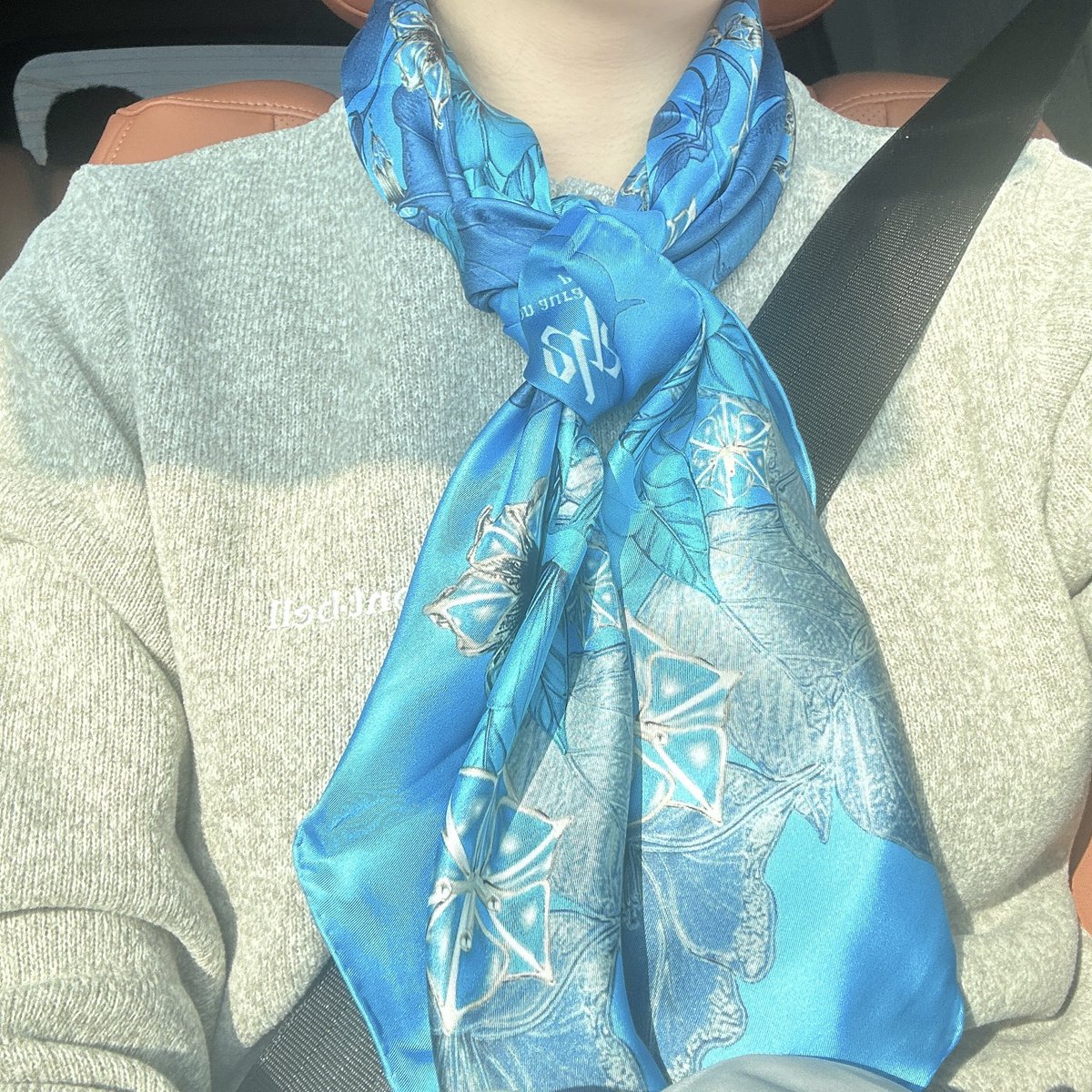 Yamadaisy1's tweet photo. 特别高贵的蓝色
#onauratoutvu #ehzz #jewellery #scarfs https://t.co/G3c3xh6nbG