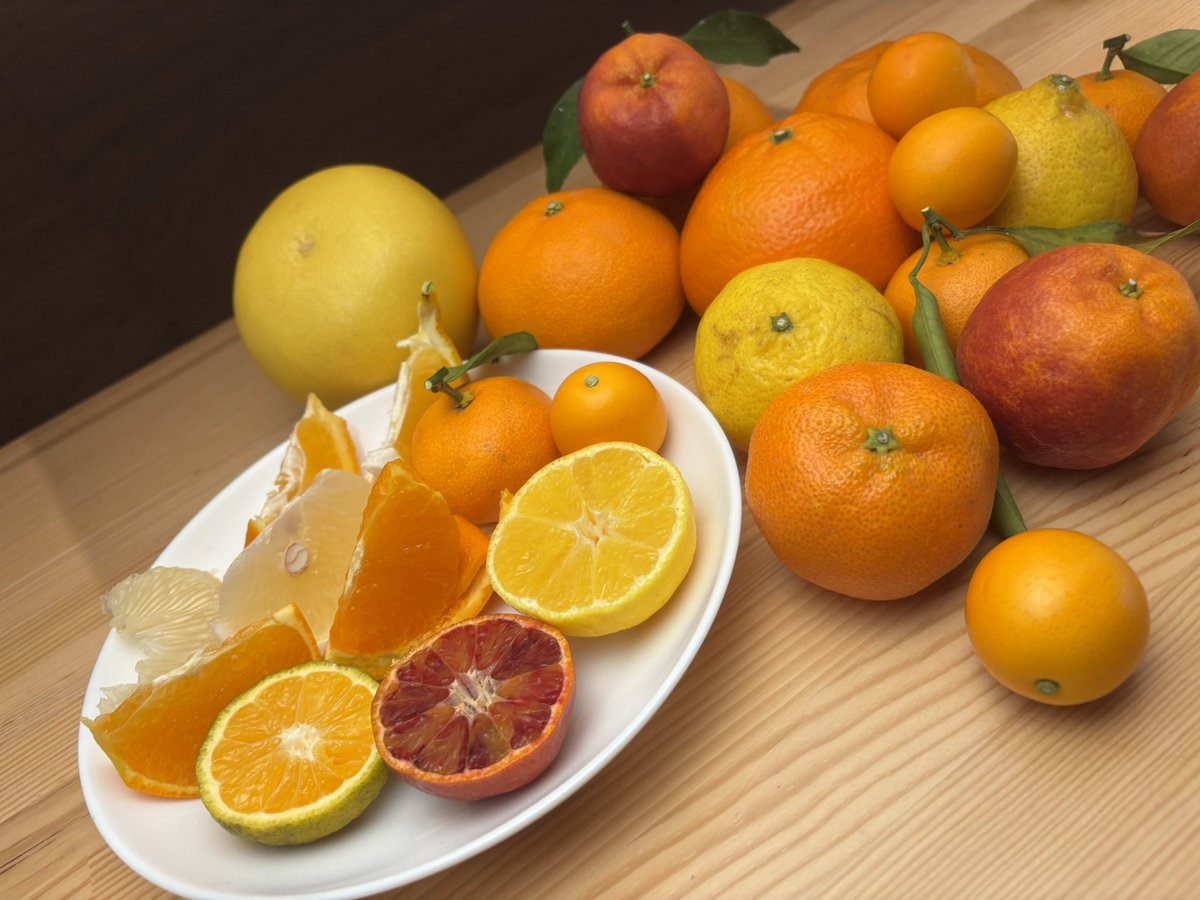 みかんノート (@mikanflavor1) / Posts / X