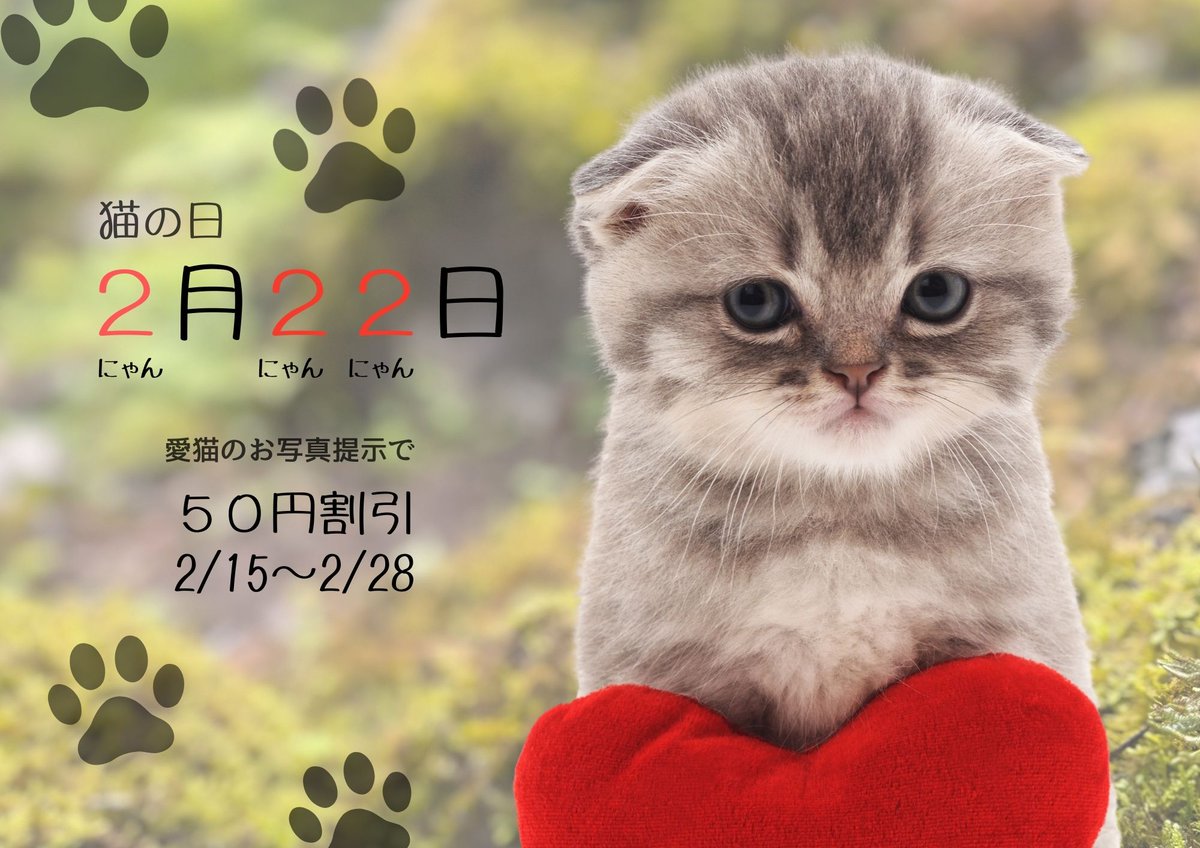 2月22日（日）は猫の日。

飯能市名栗の古民家ひらぬまでは、
2/15（日）〜2/28（土）まで「猫の日割引」を行います。
ご来店時に愛猫のお写真をご提示で、
お会計から50円引き（併用不可）。

日常の一枚も、自慢の一枚も大歓迎。
猫ちゃんとの暮らしのお話も、ぜひ聞かせてください。