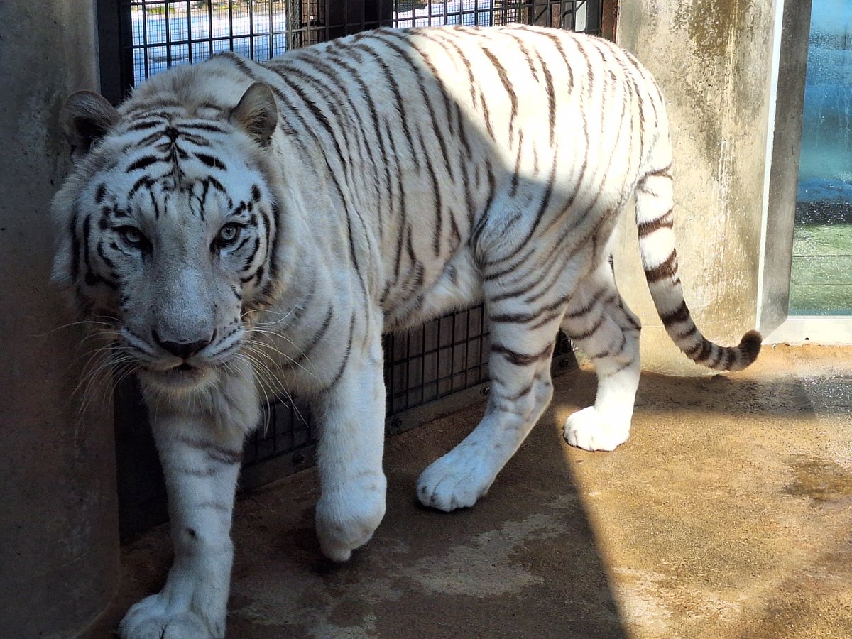 みぃこ (@mnmmnmmnm373) / Posts / X