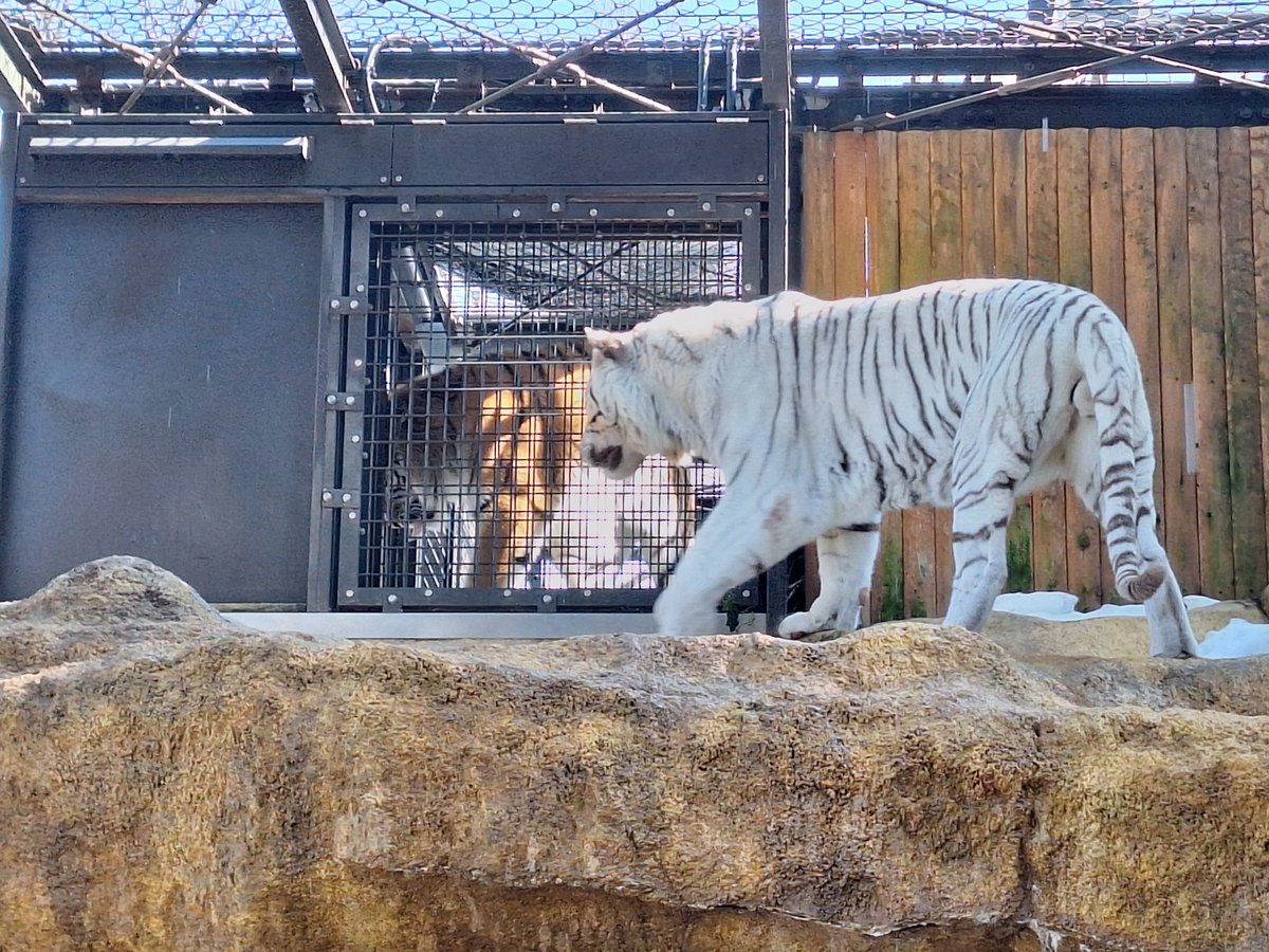 みぃこ (@mnmmnmmnm373) / Posts / X