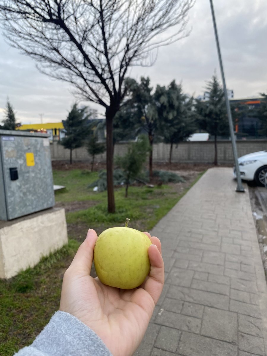 Sabah kahve içmeden uyanamıyorum diyenlere sabah elma yemeden kendime gelemiyorummm🥲