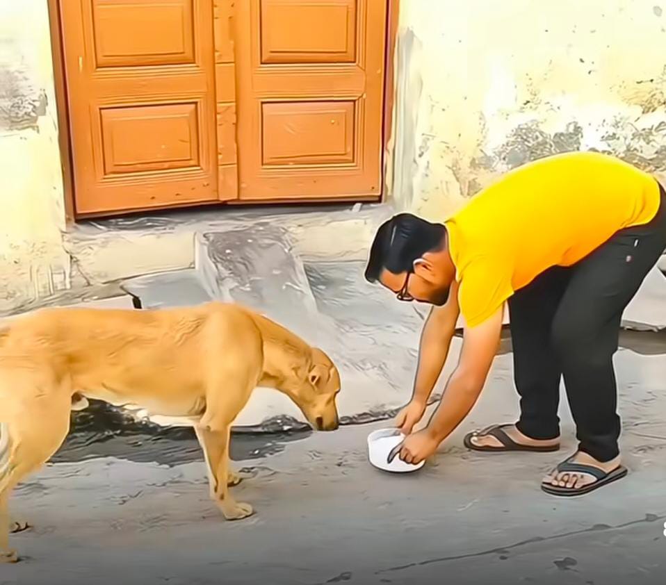इस व्यक्ति ने बड़ी सहजता से पूजा-अर्चना भी कर ली और एक बूंद दूध जमीन पर भी नहीं गिरा।

सोशल मीडिया पर वायरल इस वीडियो में एक व्यक्ति ने अपनी श्रद्धा और आस्था को इस तरीके से प्रदर्शित किया जिसकी हर तरफ सराहना हो रही

वीडियो में देख सकते हैं एक व्यक्ति शिवलिंग पर दूध चढ़ाता है, और