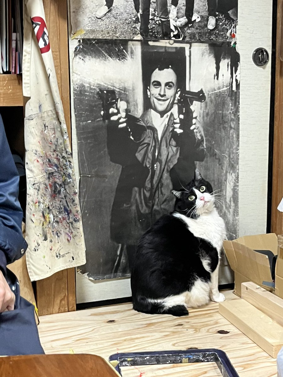 Cat for Light tweet media