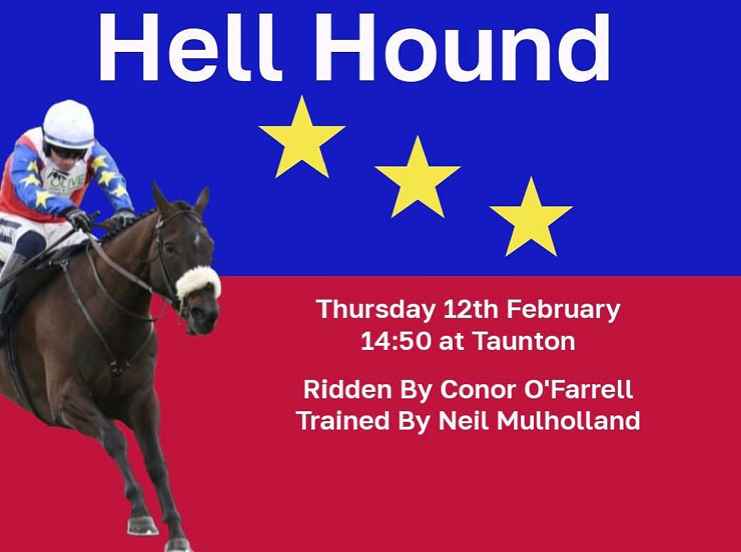 Noel Fehily Racing Syndicates tweet media