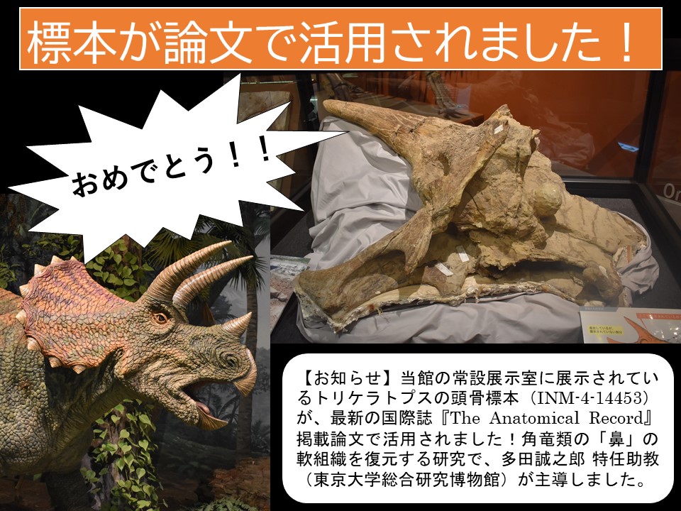 Mr.シンゲツ (@SGV_Destroyer) / Posts / X