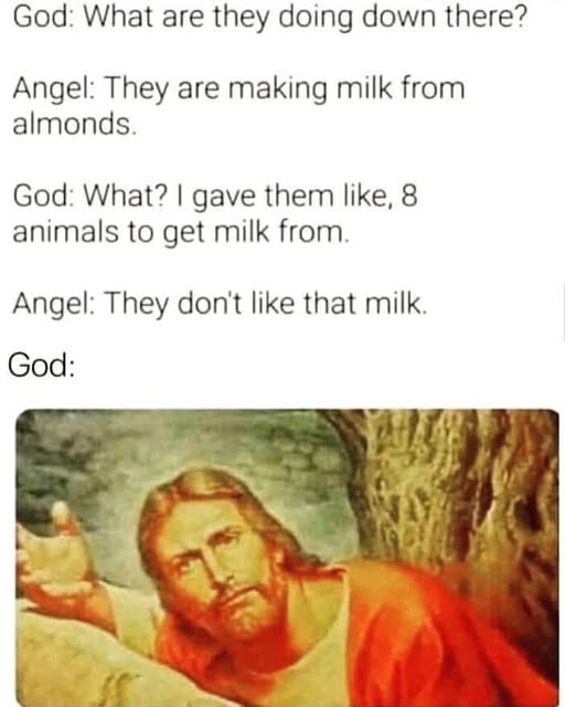 THE KETO KID tweet media