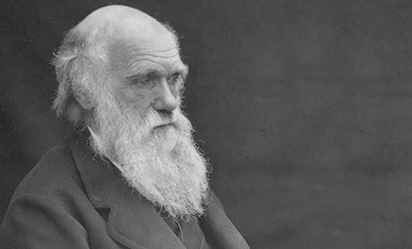 “Non è la più forte delle specie che sopravvive, né la più intelligente, ma quella più reattiva ai cambiamenti”
Il 12 febbraio 1809, a Shrewsbury (Uk), nasce Charles Darwin