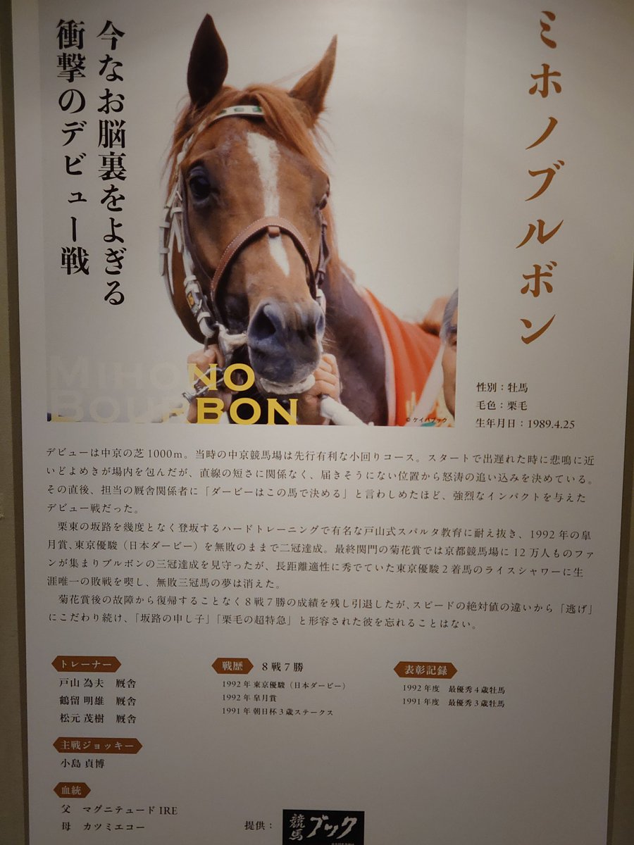 ShiNehelp's tweet photo. あなたの東京優駿総取りのお陰でグランプリホースと3歳チャンプの馬主になれたのですよ、一生忘れることはないでしょう( ´ー｀)y-~~ https://t.co/8H06PqgnPt
