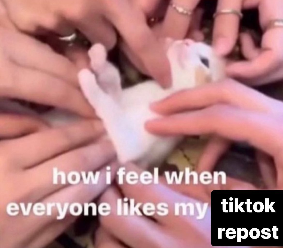 ♡ (@astralbaes) on Twitter photo 