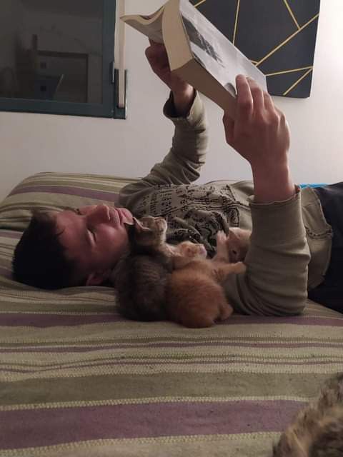 Cat is Amazing 🐈‍⬛ (@amazingcatss) on Twitter photo 