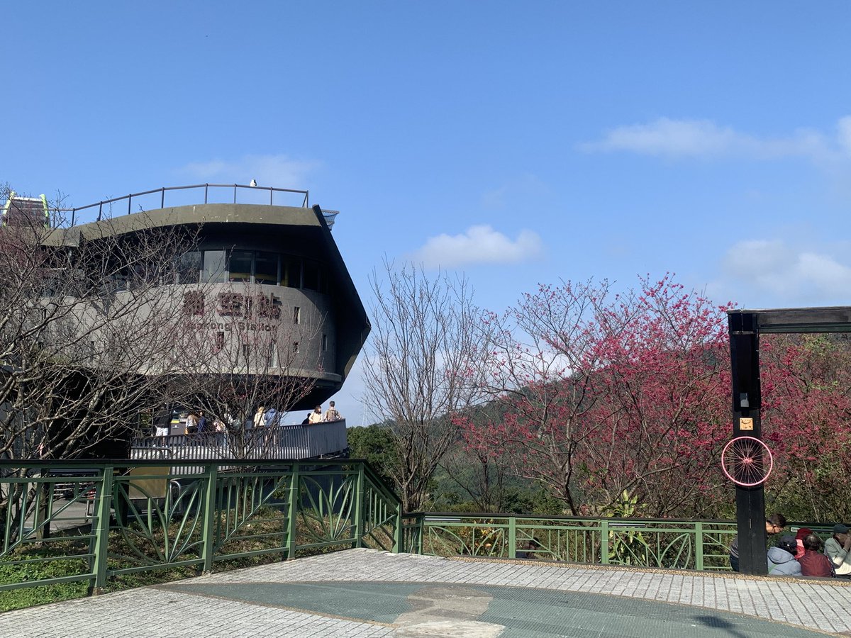 🌹帶刺的傲嬌小貓 tweet media