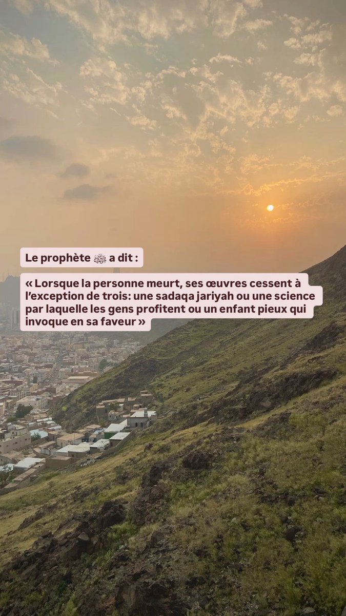 92%🇲🇦🍫 tweet media