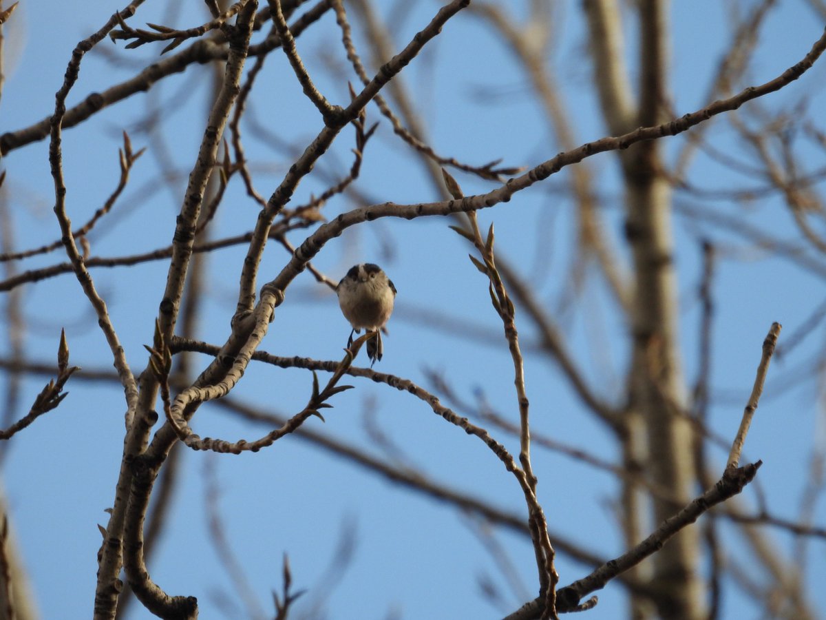 Jesús Colás tweet media