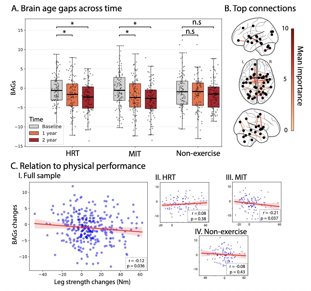 🏋️‍♂️🧠 Un ensayo clínico en 309 adultos (62–70 años) muestra que 1 año de entrenamiento de fuerza (moderado o intenso) parece reducir la “edad cerebral” entre 1,4 y 2,3 años, medido con relojes cerebrales por fMRI 

💪 Más fuerza, cerebro más joven 🚀

link.springer.com/article/10.100…