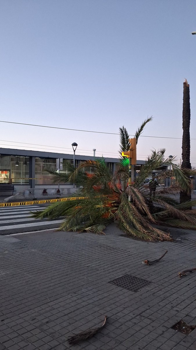 mag ridon tweet media