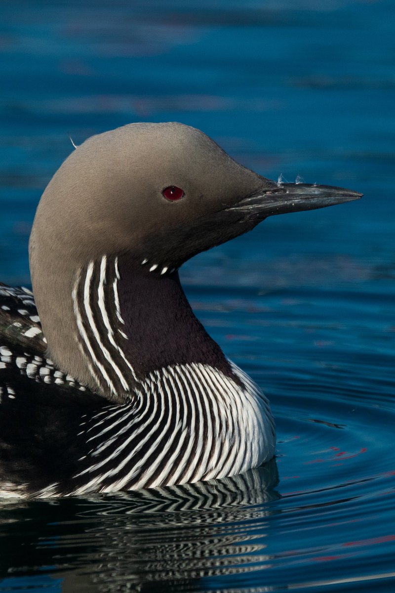 Omer🪶📷 tweet media