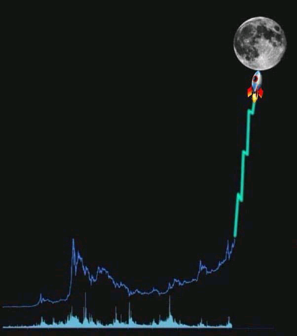 Which #Memecoin is definitely mooning soon? 👇
