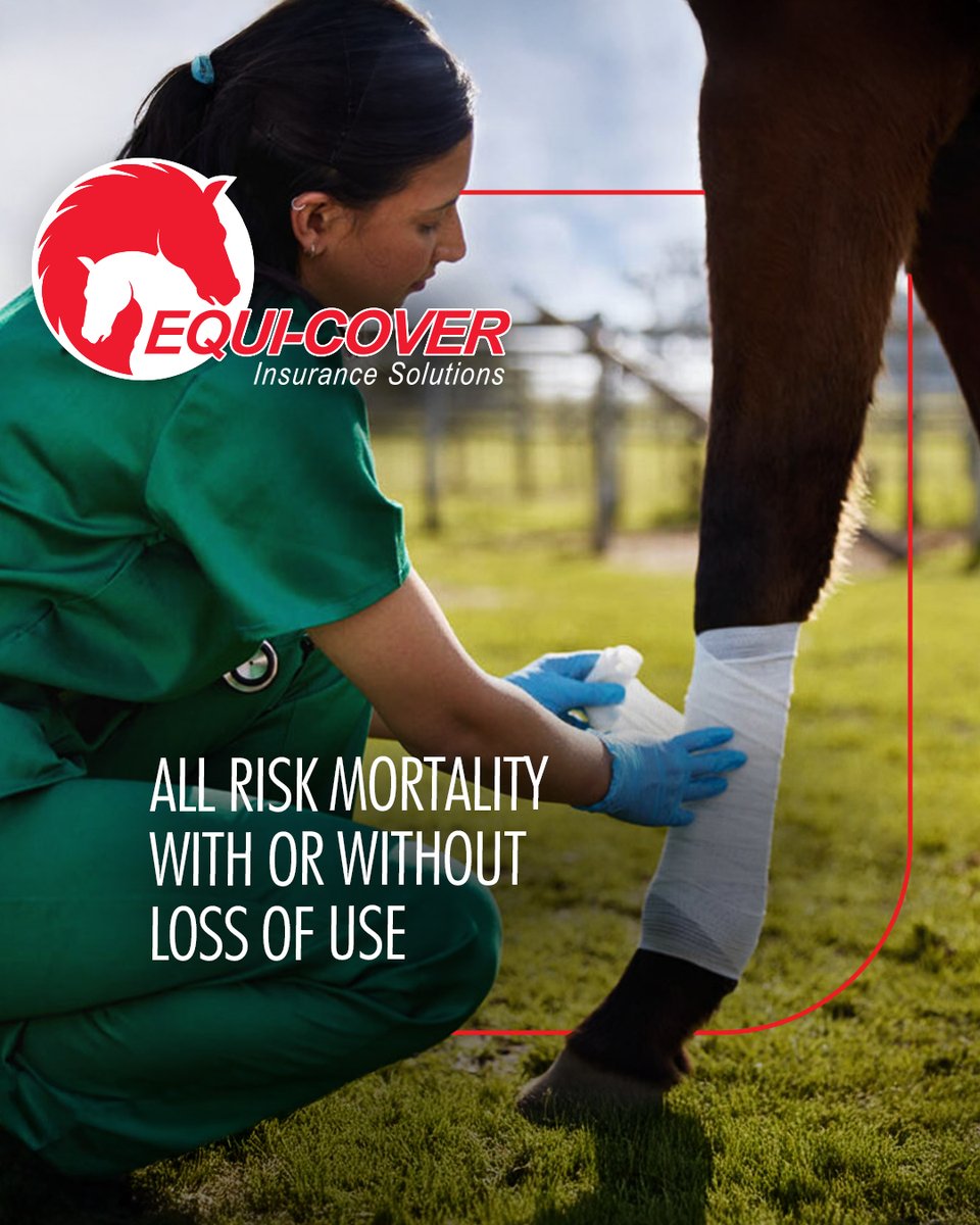 EquiCover's tweet photo. Enjoy confidence knowing your horse is covered against life’s uncertainties. Our All Risk Mortality cover offers dependable protection, with the flexibility to add Loss of Use should your horse’s ability to perform or work be affected.

#equicover #insurance #insurancebroker https://t.co/jMQf4JZ7cw