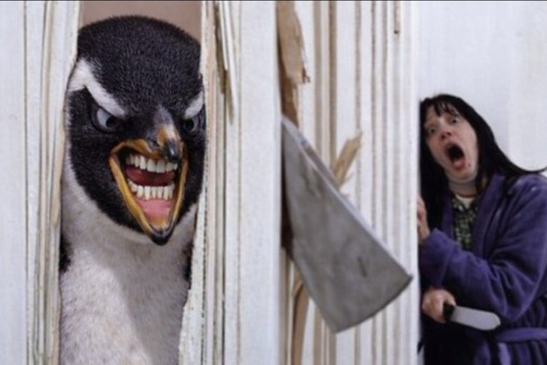 exit.liquidity (@exit_liquidi7y) on Twitter photo 