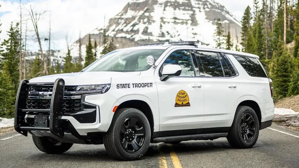 PokesTok tweet media