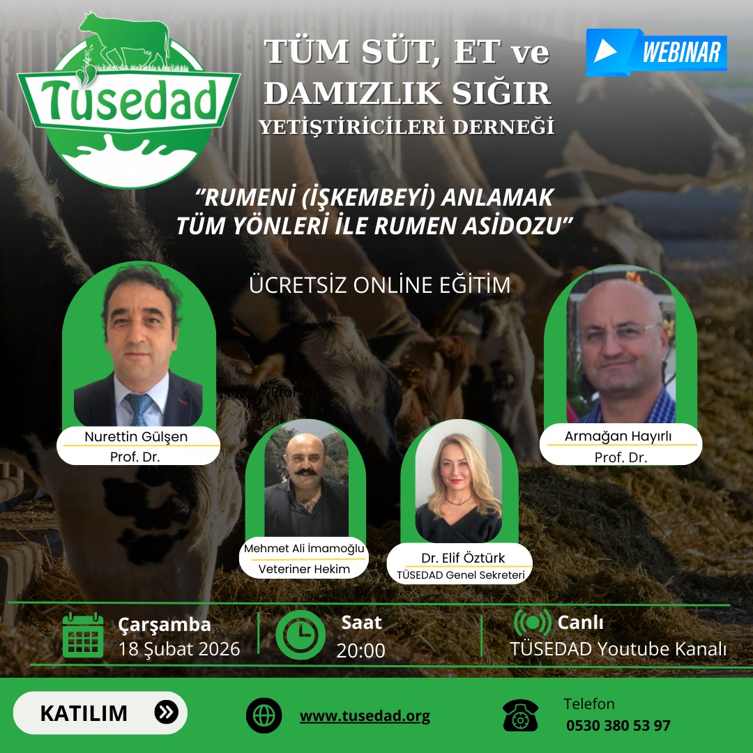 TÜSEDAD tweet media