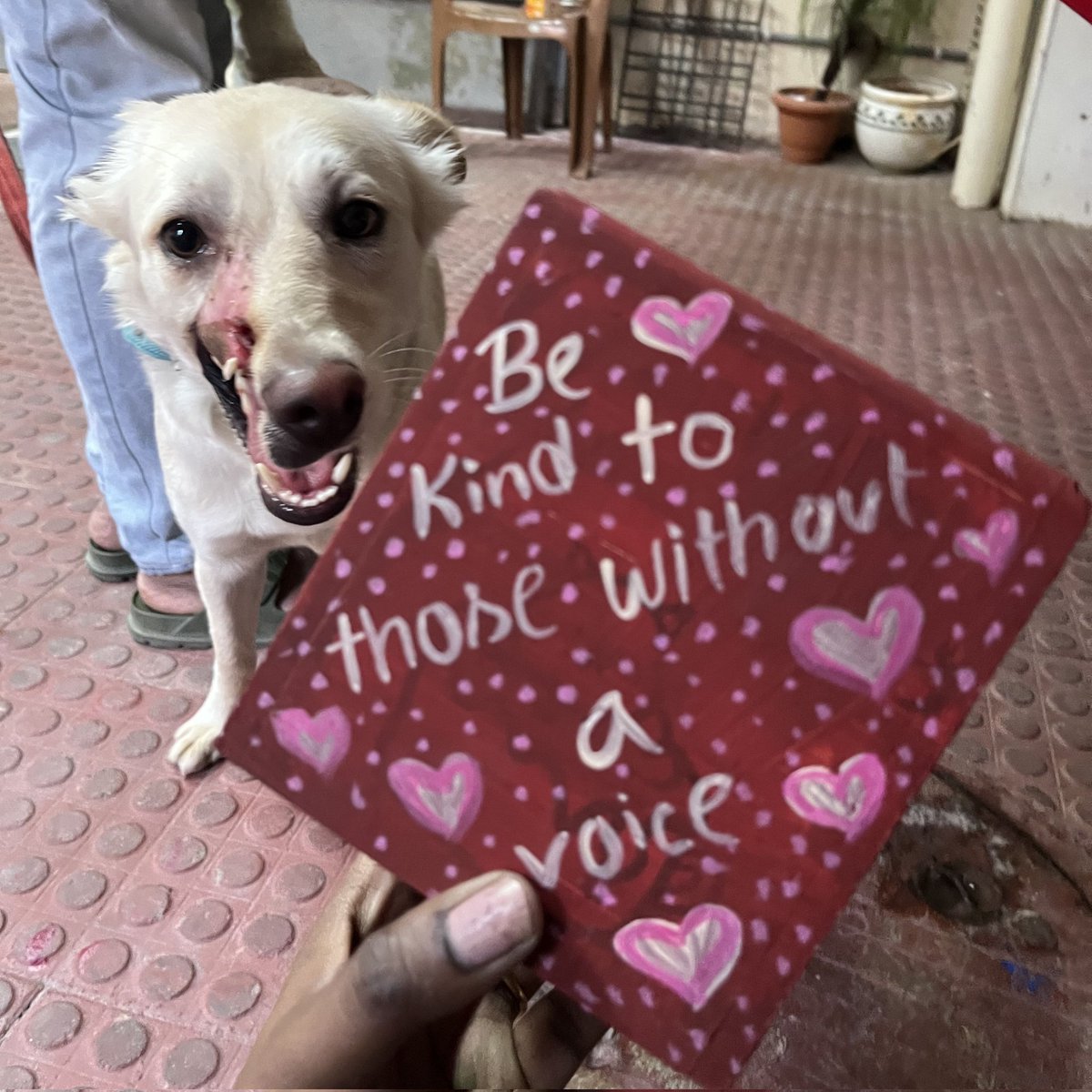 AnimalsCitizens's tweet photo. When compassion meets creativity, magic happens. Thank you Taj Falaknuma Palace for joining us for an art session to support our rescued animals. Navi &amp; Pirate approved the vibes 🐾💛
#CitizensForAnimals https://t.co/mc7UDtYuBm