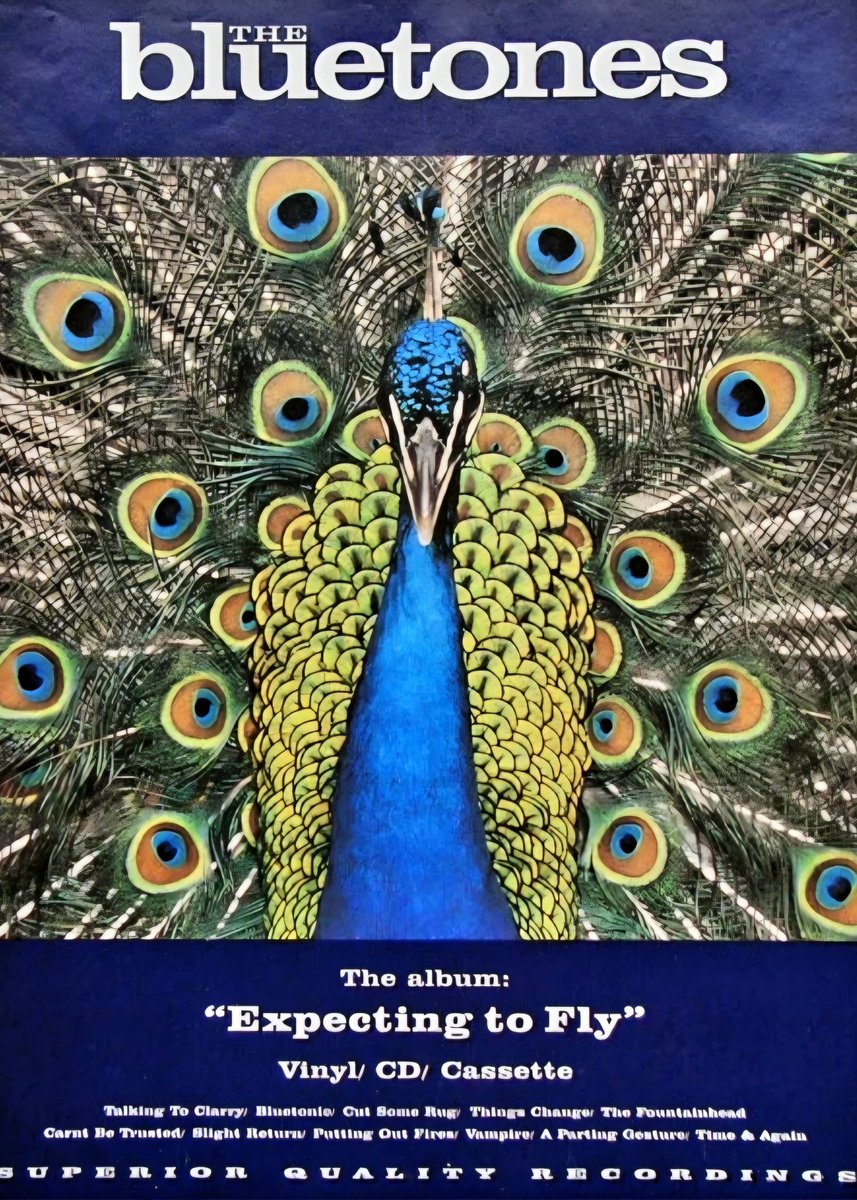 Shiiine On tweet media