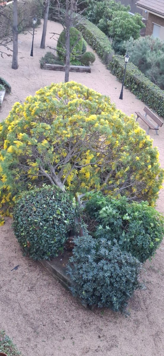 Elisabet Roch tweet media