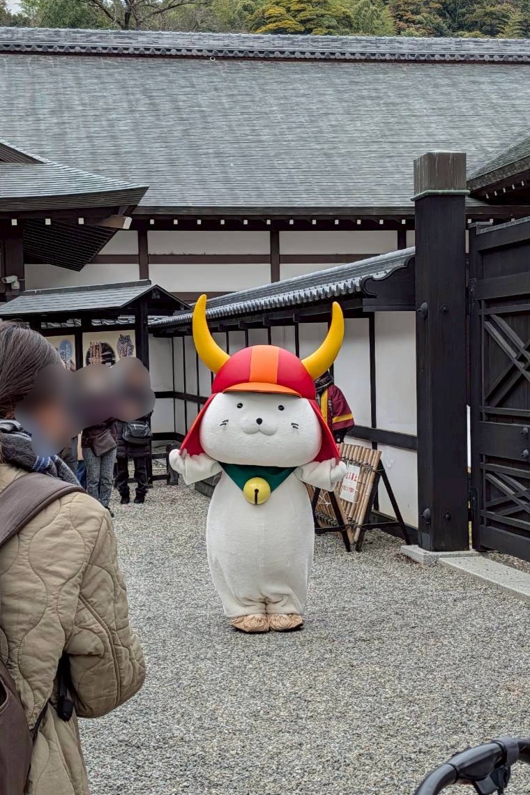 本日 #ひこにゃん 殿は、皆様へ誇らしげに兜を披露しておられたでござるよ✨

皆様から歓声が上がった刹那、ひこにゃん殿の得意満面なお顔を拙者は見逃さなかったでござるよ😆

#いいのすけ #お気に入りの兜