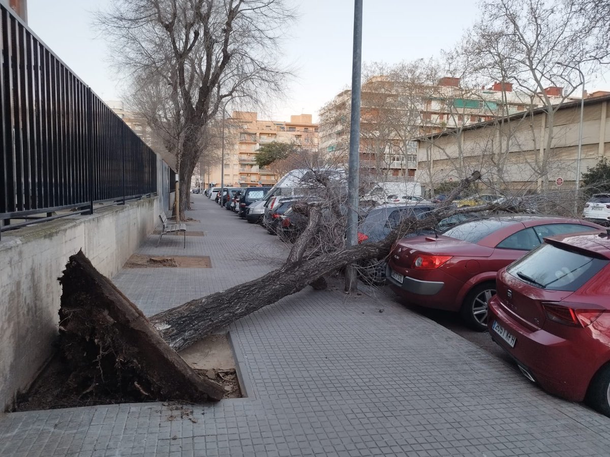 elprat.digital tweet media