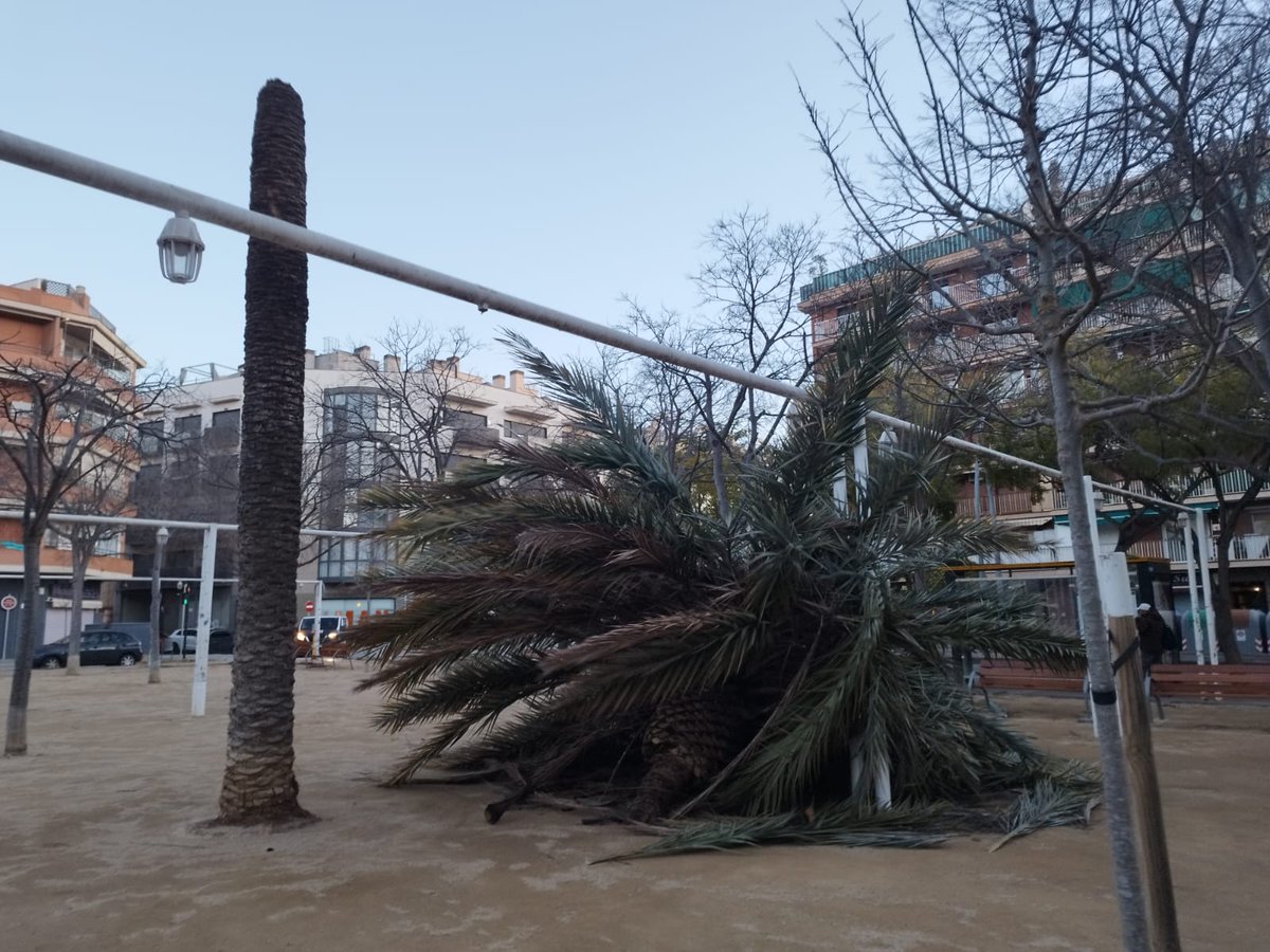 elprat.digital tweet media