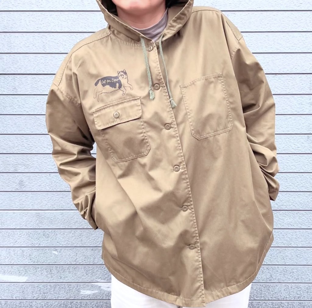 Cat for Light tweet media