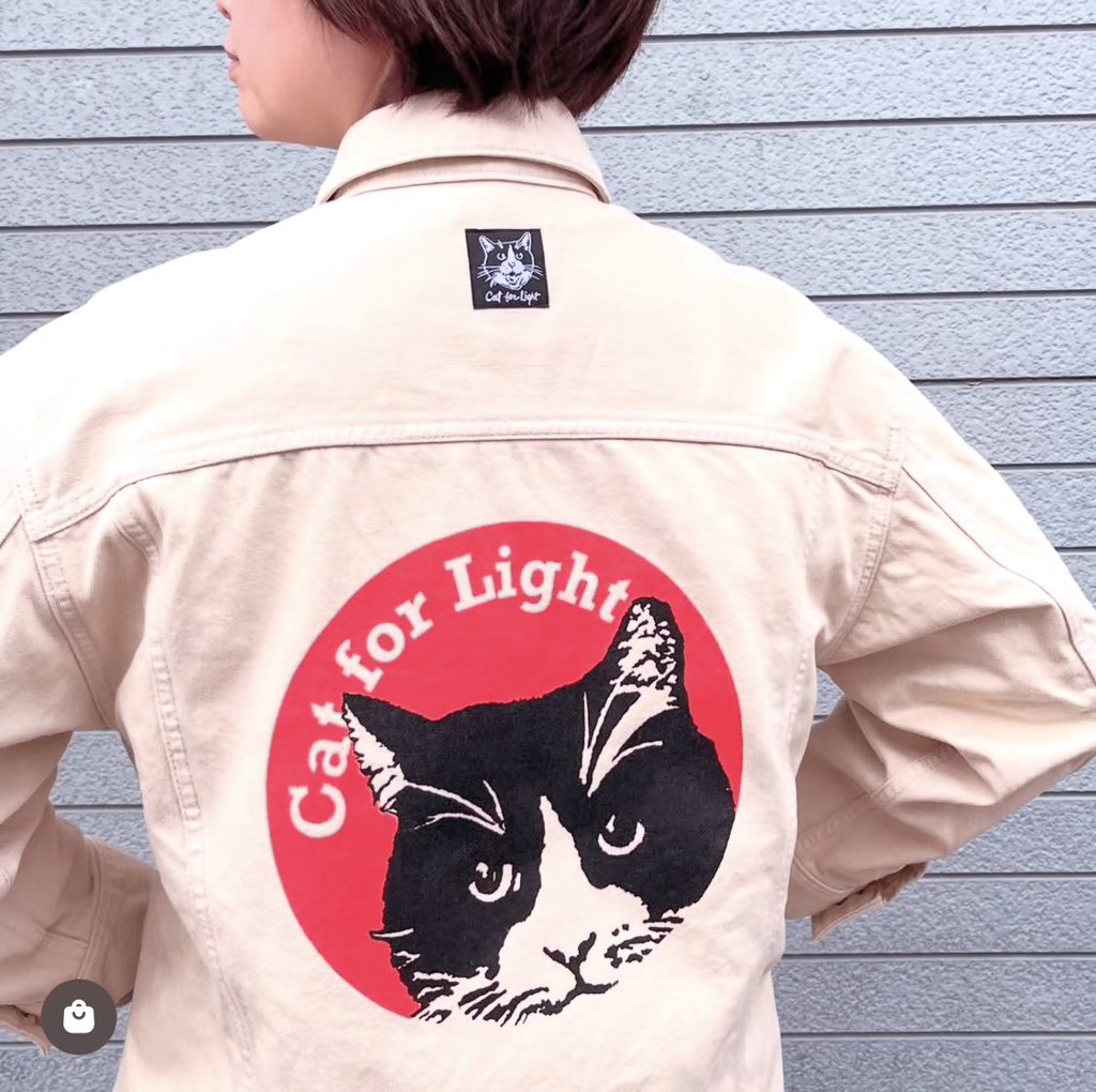 Cat for Light tweet media