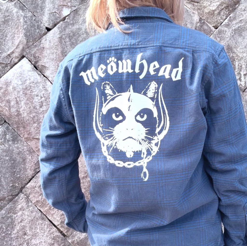 Cat for Light tweet media