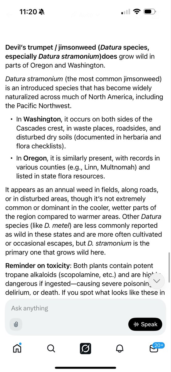 ChelsyFreedom's tweet photo. @charise_lee Bruh… they grow in Oregon and I never knew that lol 😂 I used to try and smell them all the time in trails while hiking…. Geee whiz https://t.co/VrIuXwXPjS